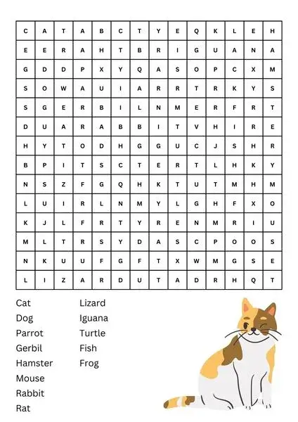 Word Search Puzzle about pets with cat image