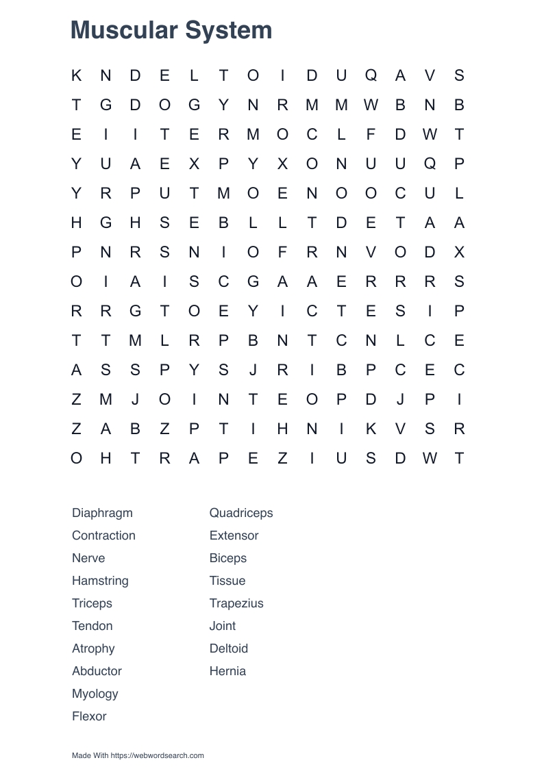 Muscular System Word Search