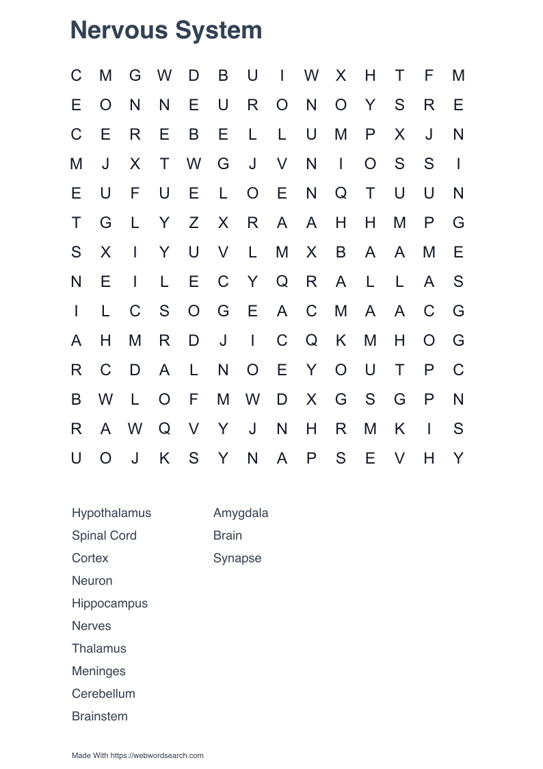 Nervous System Word Search