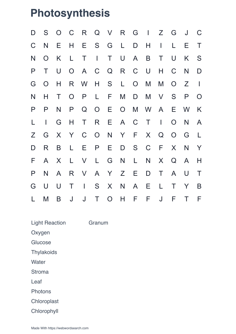 Photosynthesis Word Search